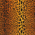 Jaguar Velours Soie Natural