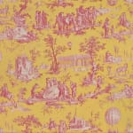 Gonesse Balloon Canvas Lemon Fuschia
