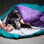 Deborah Sengl, HOME STORY 2