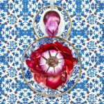 JP Terlizzi, Wedgwood Wild Strawberry with Strawberry, 2019