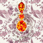 JP Terlizzi, Royal Albert Gratitude with Cherry, 2019