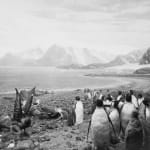 Black-and-white photograph of a museum diorama of penguins and seagulls gathered on a rocky beach against a painted backdrop of glaciers and snowy mountains on a bay