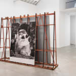 Daniela Ângelo - Quimera