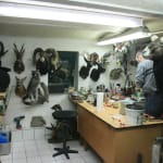 Ali Kazma - Taxidermist