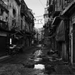 JOHN RIDDY, Palermo, 2012–16, (Series)