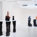 DANIEL SILVER, Dig, 2013