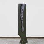 FIONA BANNER AKA THE VANITY PRESS, DISARM Blade, 2024