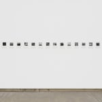 DAYANITA SINGH, Interior Landscapes, 2015