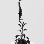 DOROTHY CROSS, Foxglove, 2023