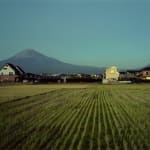 JOHN RIDDY, Views from Shin-Fuji series, 2005, (Series)