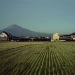 JOHN RIDDY, Views from Shin-Fuji series, 2005