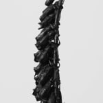 DOROTHY CROSS, Sleeping Dog , 2019