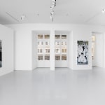 MARLENE DUMAS, The Image as Burden (London), 2015
