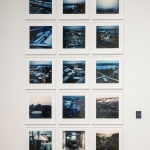 DAYANITA SINGH, Blue Book (series), 2008