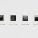 DAYANITA SINGH, Interior Landscapes, 2015