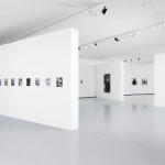 MARLENE DUMAS, The Image as Burden (London), 2015
