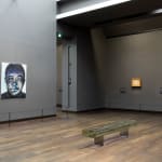 MARLENE DUMAS, The Image as Burden (London), 2015