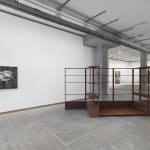 DAYANITA SINGH, Untitled, 2024