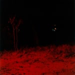 DAYANITA SINGH, Dream Villa (series), 2008