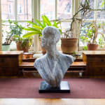 DANIEL SILVER, Dig, 2013