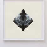 CORNELIA PARKER, Poison and Antidote Drawing, 2010 (Series)