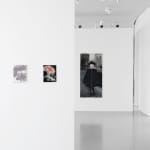 MARLENE DUMAS, The Image as Burden (London), 2015