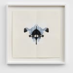 CORNELIA PARKER, Poison and Antidote Drawing, 2010 (Series)