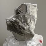 DANIEL SILVER, Untitled, 2014