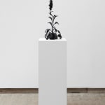 DOROTHY CROSS, Foxglove, 2023