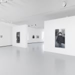 MARLENE DUMAS, The Image as Burden (London), 2015