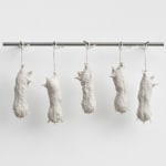 DAPHNE WRIGHT, Moles, 2007