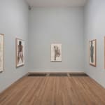 MARLENE DUMAS, The Image as Burden (London), 2015