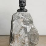 DANIEL SILVER, Untitled, 2014