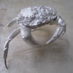 DOROTHY CROSS, Finger Crab, 2011