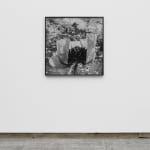 DAYANITA SINGH, Passion II, 2024