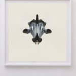 CORNELIA PARKER, Poison and Antidote Drawing, 2010 (Series)