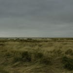 JOHN RIDDY, New York (Black Star 1–5), 2016