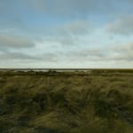 JOHN RIDDY, New York (Black Star 1–5), 2016