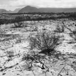 JOHN RIDDY, Peninsula, 2012–16, (Series)