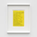ANNA BARRIBALL, Sunlight (yellow), 2023