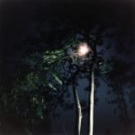 DAYANITA SINGH, Dream Villa (series), 2008
