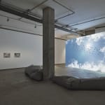 FIONA BANNER AKA THE VANITY PRESS, DISARM (landscape), 2024