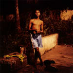 DAYANITA SINGH, Dream Villa (series), 2008