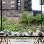 DANIEL SILVER, Dig, 2013
