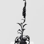 DOROTHY CROSS, Foxglove, 2023
