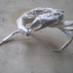 DOROTHY CROSS, Finger Crab, 2011
