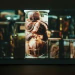 FIONA TAN, Depot, 2015