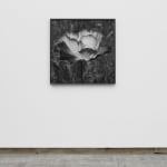 DAYANITA SINGH, Passion II, 2024