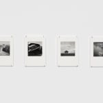 DAYANITA SINGH, Interior Landscapes, 2015