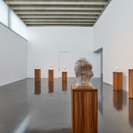 DANIEL SILVER, Dig, 2013